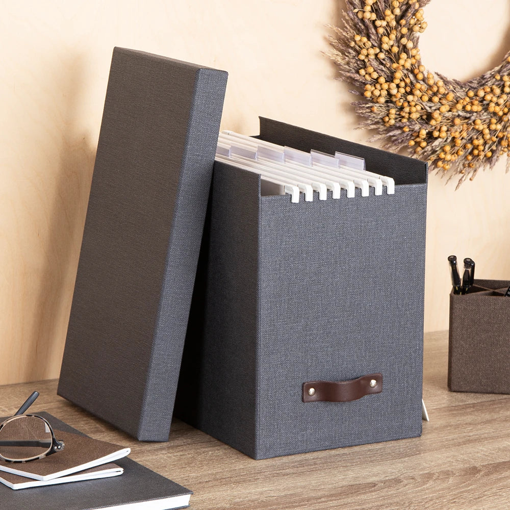 Dokumentenbox A4 inkl. 8 Hängemappen Bigso Box of Sweden