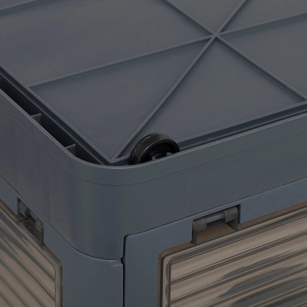 grijze-voouwkrat-five