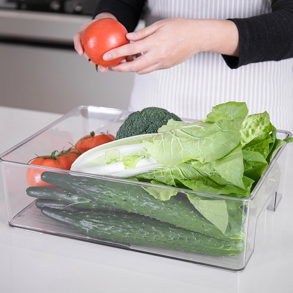 koelkastbak-transparant-classic-clear