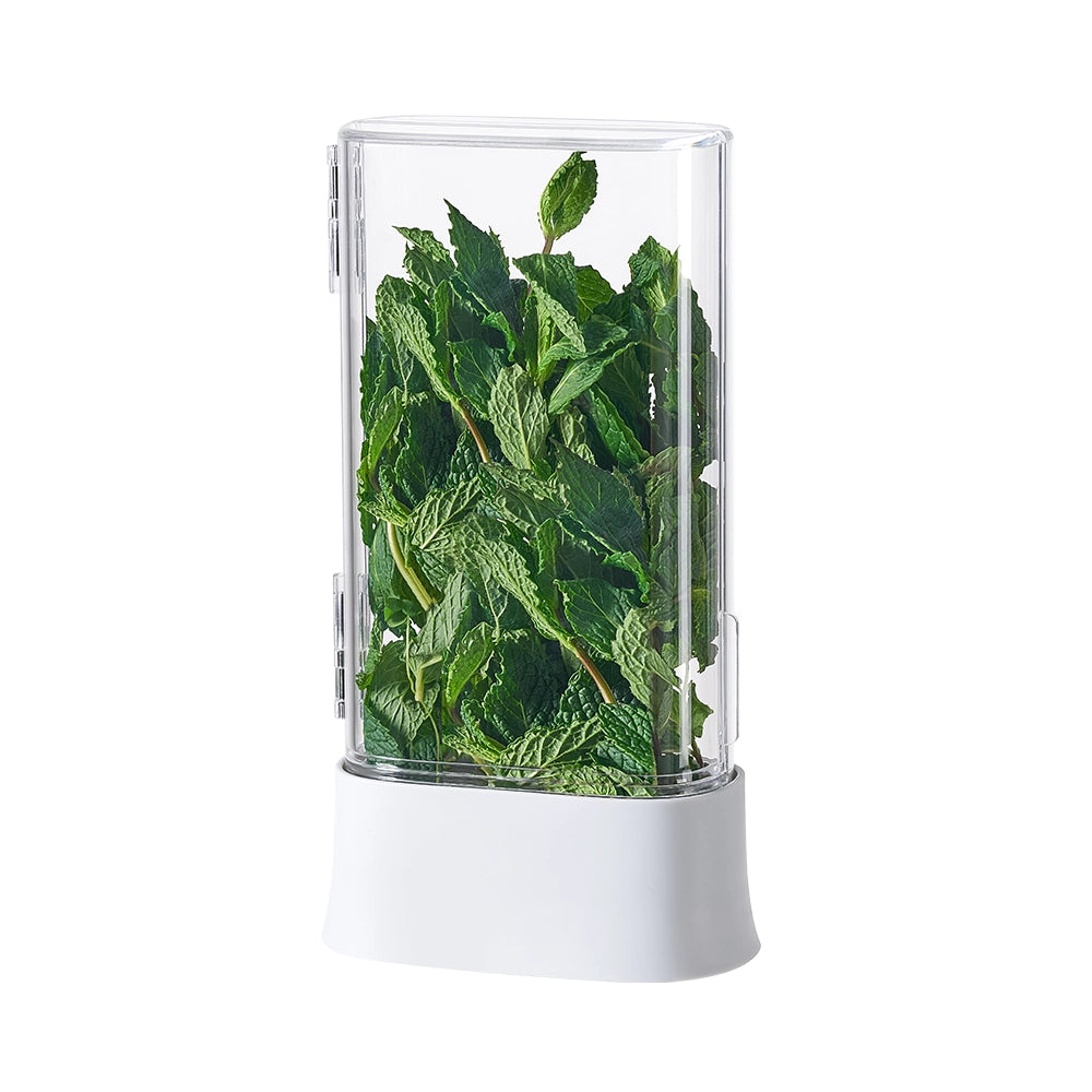 So Clever x Vacane Kräuterhalter Kühlschrank