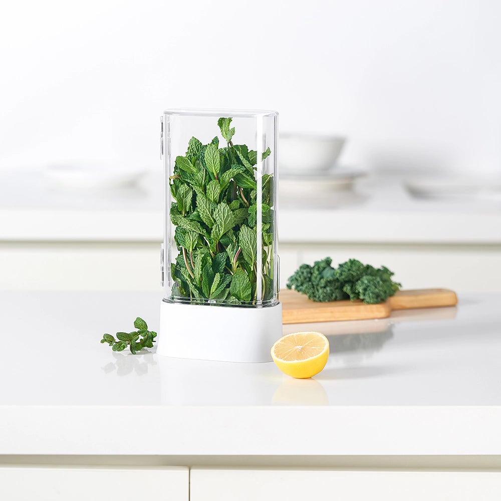 So Clever x Vacane Kräuterhalter Kühlschrank